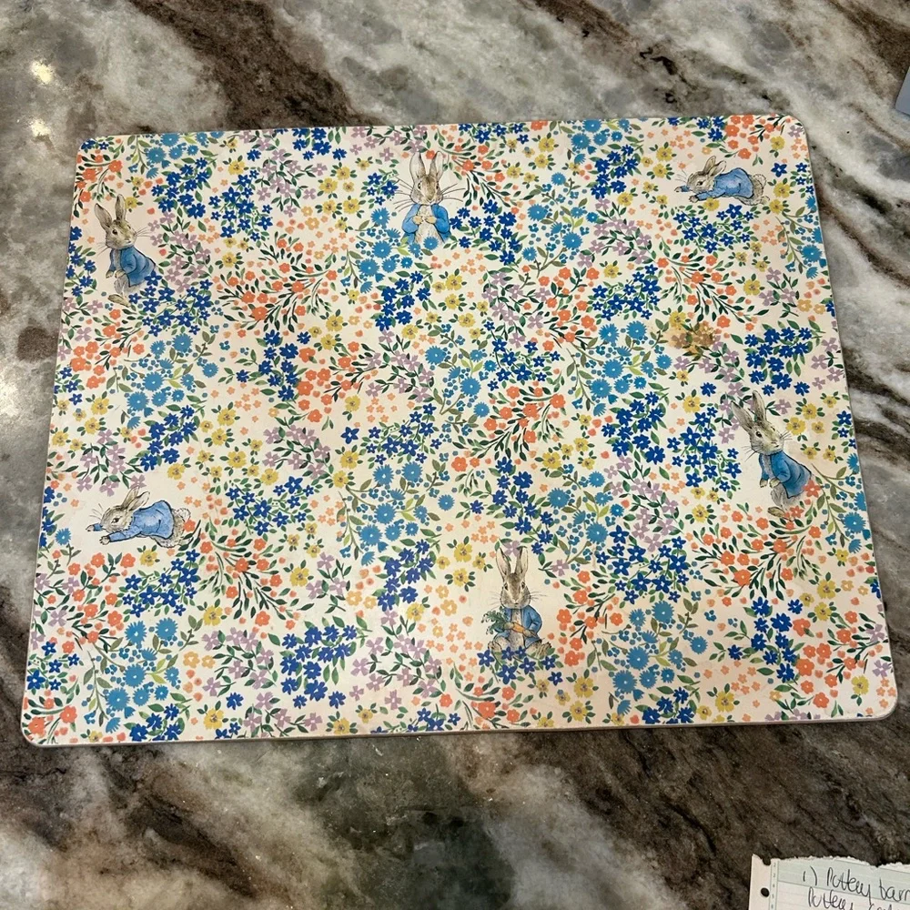 Pottery Barn x Beatrix potter cork placemat one stain GUC